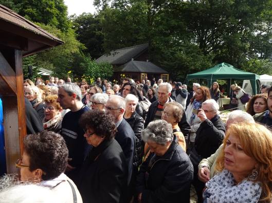 37026211551_cc2c4ddb99_o